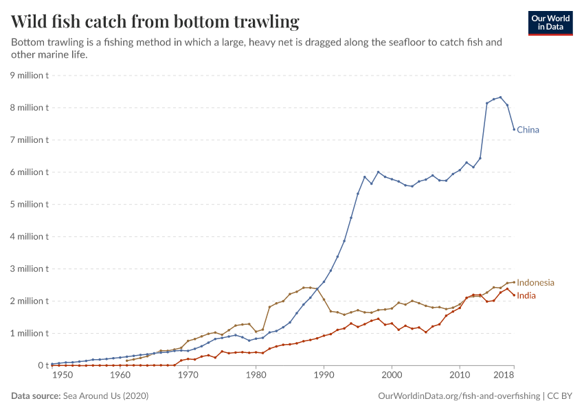 Wild fish catch from bottom trawling
